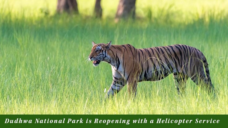Dudhwa National Park Reopen on November 15 and the Helicopter service