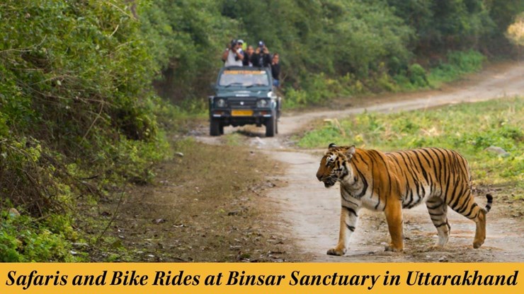 Binsar Sanctuary in Uttarakhand Introducing Thrilling Jungle Safaris and Bike Rides for Adventurous Travelers