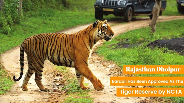 Approval Granted for Rajasthan's Dholpur-Karauli Tiger Reserve, Marking India's 54th Tigers Reserve 