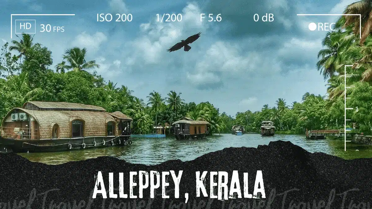 Is there houseboat run in Alleppey in August?